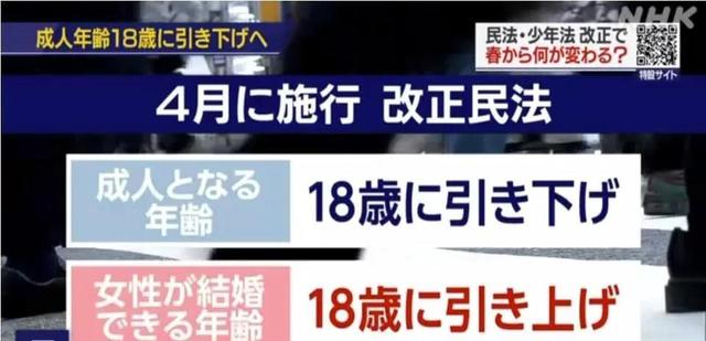清纯校花被啪到深处动态图视频网站，动态图不良
